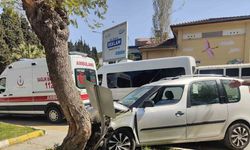 Tansiyonu düşen sürücü, yayalara çarpmamak için ağaca çarptı
