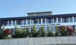 Tokat’ta jandarmadan yolsuzluk operasyonu: 7 gözaltı