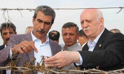 TZOB Genel Başkanı Bayraktar, Manisa’da don afeti sonrası bağlarda incelemelerde bulundu