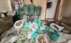 Van’da sahte belgelerle tedavi uygulayan şahıslara operasyon