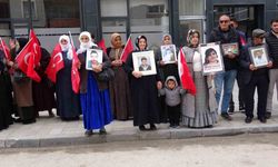 Vanlı annelerin evlat nöbeti 100’üncü haftasında