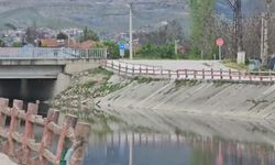 Yeşilırmak Nehri’nde balık ölümleri incelemeye alındı
