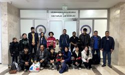 GÜNCELLEME - Edirne'de düzensiz göçmenlerle yakalanan Alman vatandaşı tutuklandı