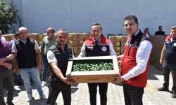 Tekirdağ'da çiftçilere 94 bin sebze fidesi dağıtıldı