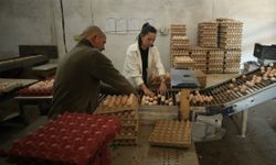 YENİ NESİL ÇİFTÇİLER - Yumurta tavuğu yetiştiricisi genç çiftçi üretim kalitesini yapay zekayla artıracak