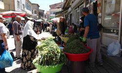 Dağlardan toplanan otlar hem şifa hem kazanç sağlıyor