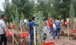 Diyarbakır’da "Koruyucu Aile Hatıra Ormanı" oluşturuldu
