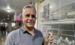 Elazığ’da muhabbet kuşlarına yoğun ilgi