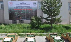 Kars’ta binlerce sebze fidesi dağıtıldı