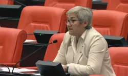 CHP’li Taşkent: "Çiftçimizin yüzü gülmeden soframızda bereket olmaz"