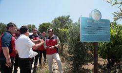 Bozcaada’da tarımsal kalkınma projeleri yerinde incelendi