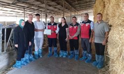 Çanakkale'de hastalıktan ari işletme sayısı 21'e yükseldi