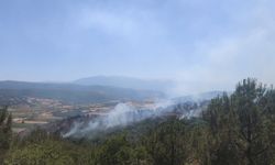 GÜNCELLEME - Bursa'da çıkan orman yangını kontrol altına alındı