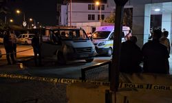GÜNCELLEME - Sakarya'da bir kişinin silahla öldürülmesine ilişkin yakalanan zanlı tutuklandı