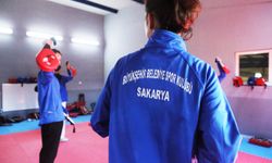 Sakarya'dan kısa kısa