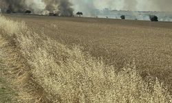 Tekirdağ'da 300 dekar buğday ekili alan yandı