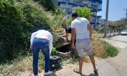Yalova'da yaralı bulunan nesli tehlike altındaki su samuru tedaviye alındı