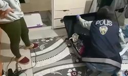 Denizli’de nitelikli dolandırıcılık şebekelerine operasyon