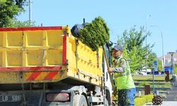 Elazığ Belediyesinden Millet Bahçesinde kapsamlı düzenleme çalışması