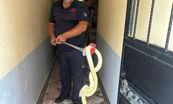 Gönen’de eve giren yılan paniğe neden oldu
