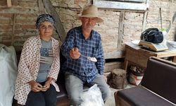 İstanbul’dan memlekete dönen iki kardeş, 10 dönümlük arazide salep bitkisi yetiştiriyor