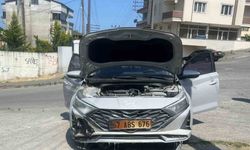 Kopan elektrik telleri otları, otlarda aracı yaktı