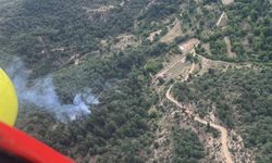 Kütahya’daki orman yangınında 8 dekar alan zarar gördü