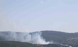 Menteşe’de çıkan yangın kontrol altına alındı