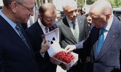Milletvekillerinden Cumhurbaşkanı Erdoğan’a Kütahya kirazı ikramı