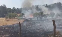 Ormanlık alanda çıkan yangın korkuttu