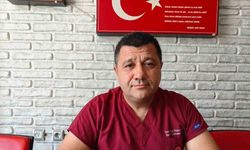 Sineklerle mücadele yönteminizi değiştirin