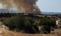Balıkesir'de çıkan orman yangınına müdahale ediliyor