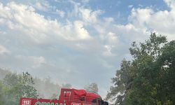 Bilecik'te çıkan örtü yangını kontrol altına alındı