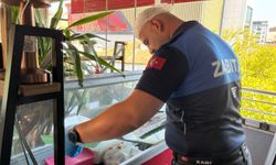 Bilecik'te son kullanma tarihi geçmiş ürünler imha edildi