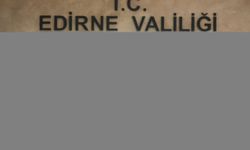 Edirne Valisi Sezer'den üreticilere yangınlara karşı daha dikkatli olmaları uyarısı: