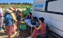 Gelibolu'da kadın işçilere kanser taraması yapıldı