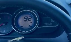 Kocaeli'de otomobile giren kertenkele kadın sürücüyü korkuttu