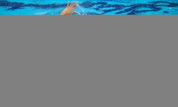 Milli paralimpik sporcu Melda Kolayca olimpiyat için yüzüyor