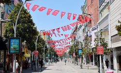 Sakarya'dan "Terörsüz Türkiye"ye ay yıldızlı bayraklarla destek