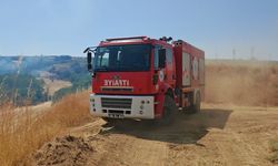 Tekirdağ'da çıkan anız yangını söndürüldü