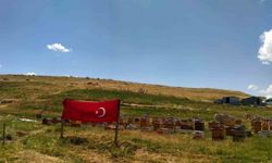 Ağrı ay yıldızlı bayraklarla donatıldı