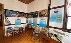 Akçakoca sualtı dünyası
