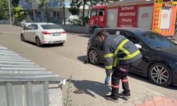 Batman’da tavan arasında sıkışan kedi kurtarıldı