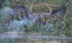 Bayramiç’teki orman yangını kontrol altına alındı