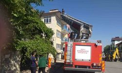 Beyşehir’de itfaiyenin kedi kurtarma seferberliği