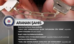Bingöl’de 10 yıl kesinleşmiş hapis cezası bulunan şahıs yakalandı