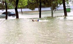 Bulvarda yüzüp sıra dışı bir tepkiye imza attı