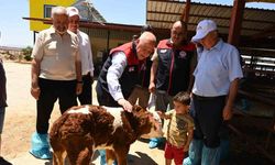 Denizli’de 511 bin ton inek sütü üretiliyor