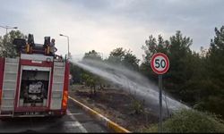 Dicle Üniversitesi’ndeki örtü yangını söndürüldü