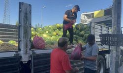 Elazığlı esnaf 30 ton karpuzu ücretsiz dağıttı